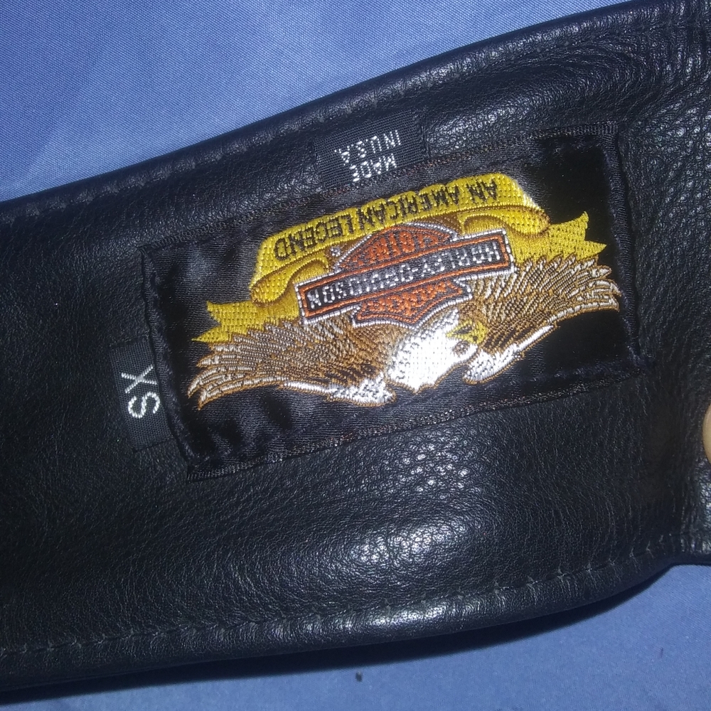 Harley Davidson chaps